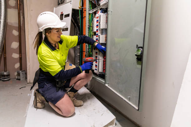 Best Electric Panel Repair  in Tonganoxie, KS